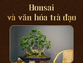 Bonsai và văn hóa trà đạo - Sự giao hòa nghệ thuật và tâm hồn