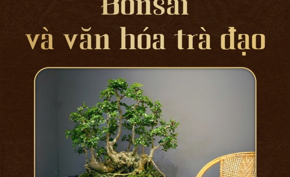 Bonsai và văn hóa trà đạo - Sự giao hòa nghệ thuật và tâm hồn